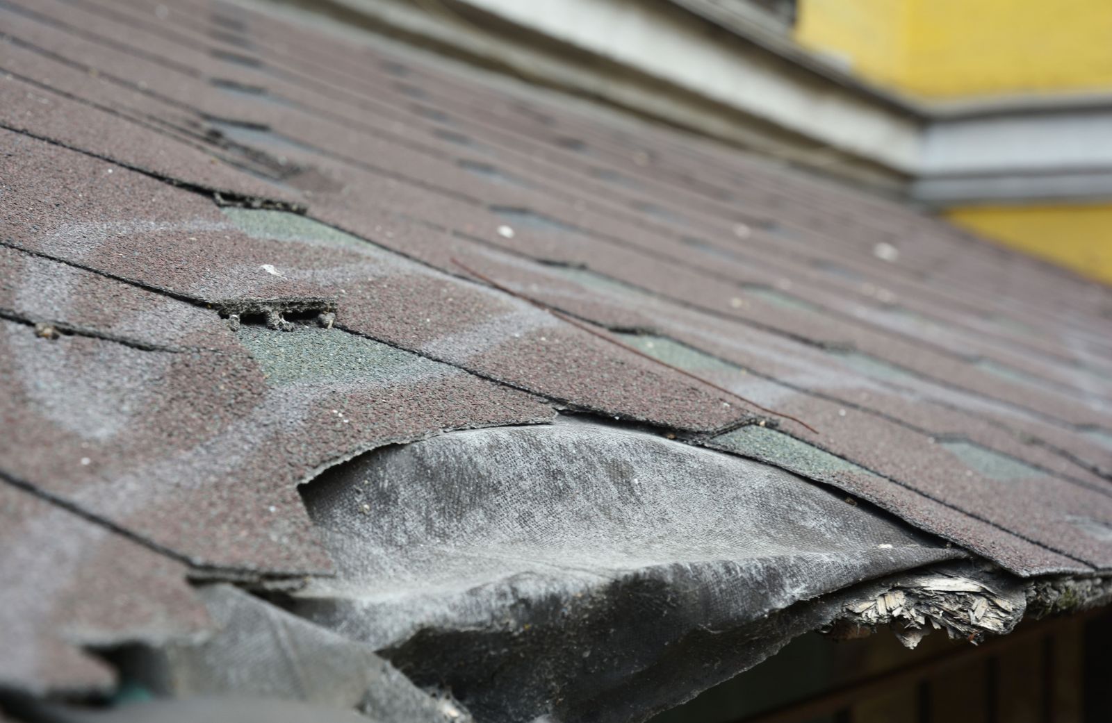 C.A. Palacios Roofing Images
