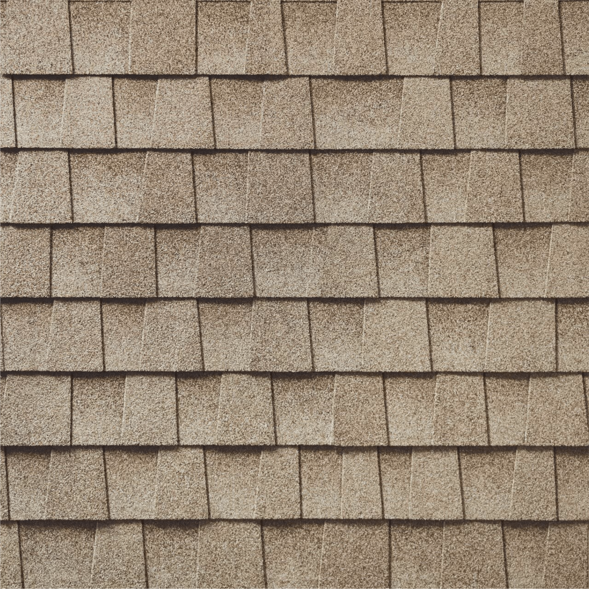 C.A. Palacios Roofing Images