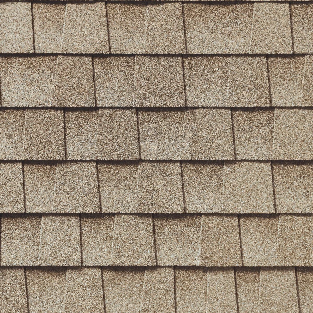 C.A. Palacios Roofing Images