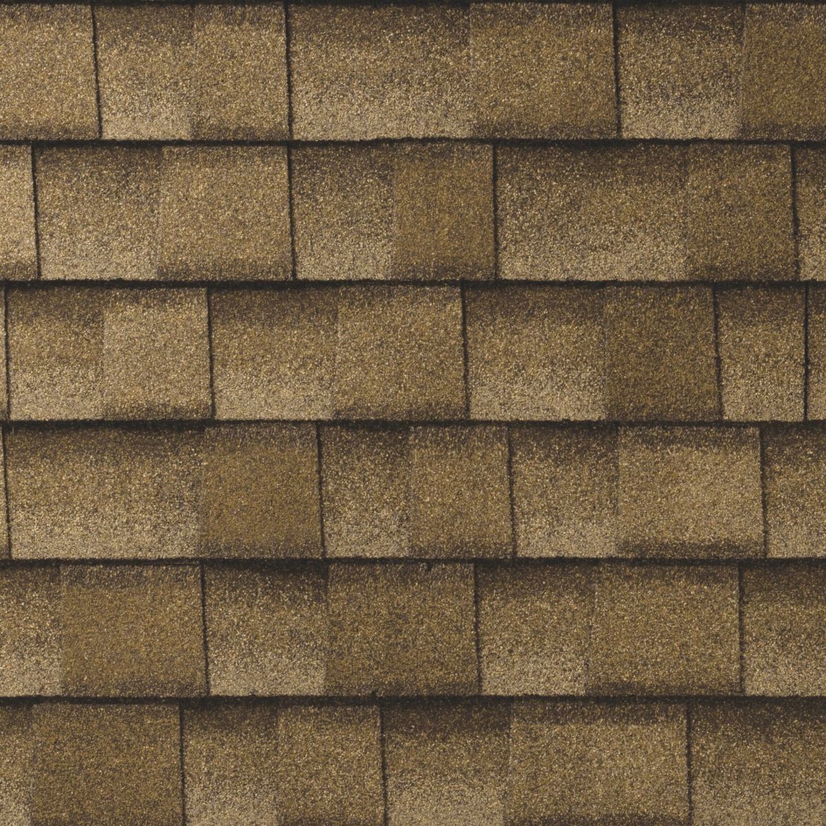 C.A. Palacios Roofing Images