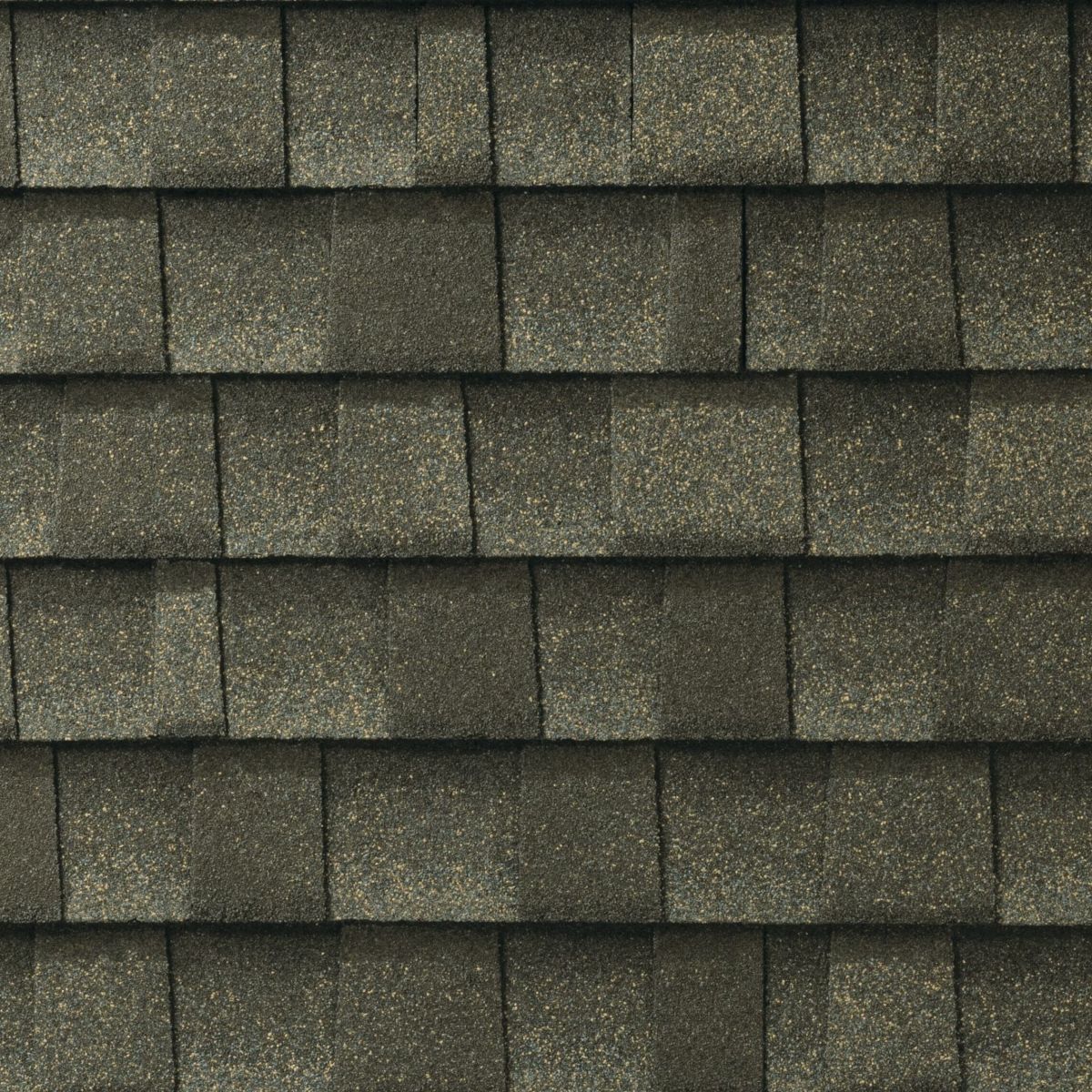 C.A. Palacios Roofing Images