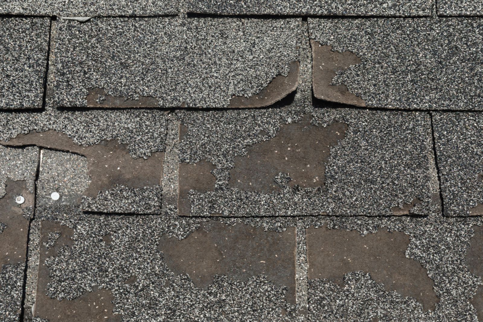 C.A. Palacios Roofing Images