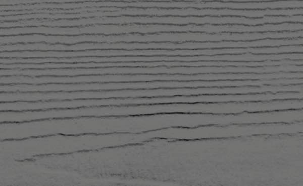 C.A. Palacios Roofing Images