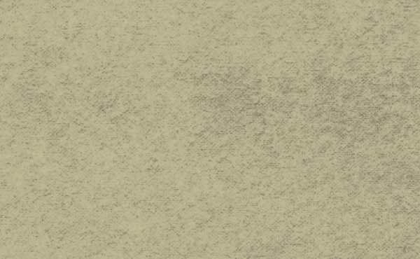 C.A. Palacios Roofing Images