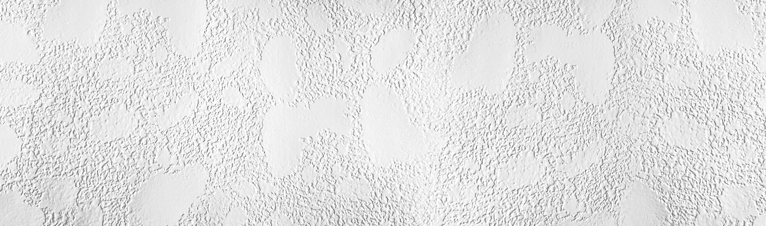 C.A. Palacios Roofing Images